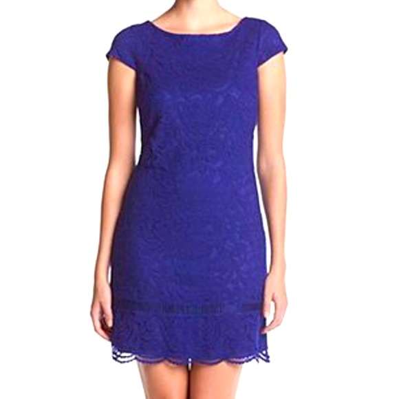 NWT Vince Camuto, lace dress size 6 - Picture 1 of 6